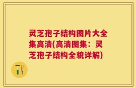 灵芝孢子结构图片大全集高清(高清图集：灵芝孢子结构全貌详解)