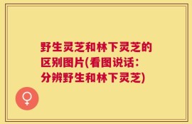 野生灵芝和林下灵芝的区别图片(看图说话：分辨野生和林下灵芝)
