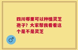 四川哪里可以种植灵芝孢子？大家帮我看看这个是不是灵芝