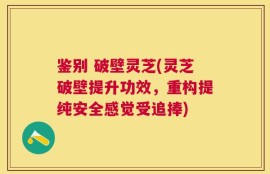 鉴别 破壁灵芝(灵芝破壁提升功效，重构提纯安全感觉受追捧)