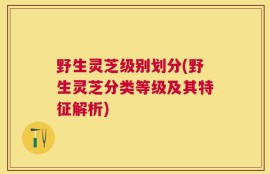 野生灵芝级别划分(野生灵芝分类等级及其特征解析)