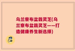 乌兰察布盆栽灵芝(乌兰察布盆栽灵芝——打造健康养生新选择)