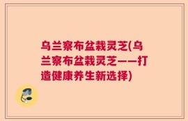 乌兰察布盆栽灵芝(乌兰察布盆栽灵芝——打造健康养生新选择)