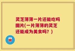 灵芝薄薄一片还能吃吗图片(一片薄薄的灵芝还能成为美食吗？)