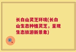 长白山灵芝环境(长白山生态种植灵芝，呈现生态旅游新景象)