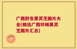 广西野生黑灵芝图片大全(精选广西珍稀黑灵芝图片汇总)