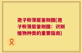 孢子粉薄层鉴别图(孢子粉薄层鉴别图：识别植物种类的重要指南)
