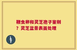 鞭虫卵和灵芝孢子鉴别？灵芝盆景表面处理