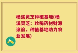 杨溪灵芝种植基地(杨溪灵芝：珍稀药材财源滚滚，种植基地助力农业发展)