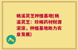 杨溪灵芝种植基地(杨溪灵芝：珍稀药材财源滚滚，种植基地助力农业发展)