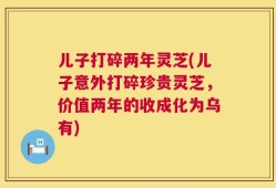 儿子打碎两年灵芝(儿子意外打碎珍贵灵芝，价值两年的收成化为乌有)