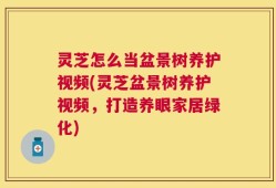 灵芝怎么当盆景树养护视频(灵芝盆景树养护视频，打造养眼家居绿化)