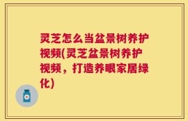 灵芝怎么当盆景树养护视频(灵芝盆景树养护视频，打造养眼家居绿化)