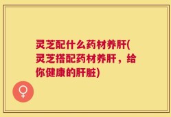 灵芝配什么药材养肝(灵芝搭配药材养肝，给你健康的肝脏)
