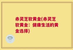 赤灵芝软黄金(赤灵芝软黄金：健康生活的黄金选择)