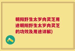 朝阳野生太岁肉灵芝用途朝阳野生太岁肉灵芝的功效及用途详解)