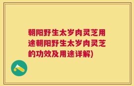 朝阳野生太岁肉灵芝用途朝阳野生太岁肉灵芝的功效及用途详解)