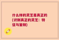 什么样的灵芝是真正的(识别真正的灵芝：特征与鉴别)