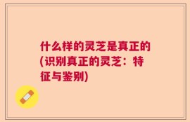 什么样的灵芝是真正的(识别真正的灵芝：特征与鉴别)