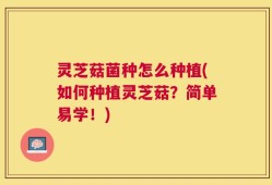 灵芝菇菌种怎么种植(如何种植灵芝菇？简单易学！)