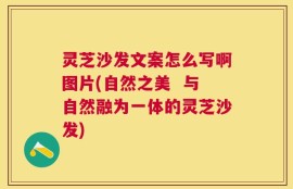 灵芝沙发文案怎么写啊图片(自然之美  与自然融为一体的灵芝沙发)