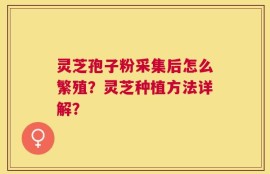 灵芝孢子粉采集后怎么繁殖？灵芝种植方法详解？
