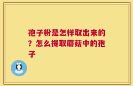 孢子粉是怎样取出来的？怎么提取蘑菇中的孢子