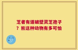 芝者有道破壁灵芝孢子？熊这种动物有多可怕