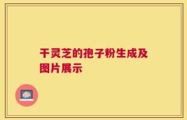 干灵芝的孢子粉生成及图片展示