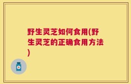 野生灵芝如何食用(野生灵芝的正确食用方法)