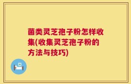菌类灵芝孢子粉怎样收集(收集灵芝孢子粉的方法与技巧)