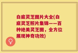 白底灵芝图片大全(白底灵芝照片集锦——百种绝美灵芝图，全方位展现神奇功效)
