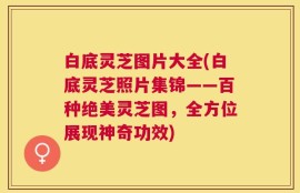 白底灵芝图片大全(白底灵芝照片集锦——百种绝美灵芝图，全方位展现神奇功效)