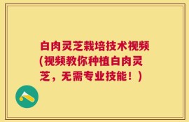 白肉灵芝栽培技术视频(视频教你种植白肉灵芝，无需专业技能！)