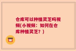 仓库可以种植灵芝吗视频(小视频：如何在仓库种植灵芝？)