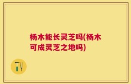 杨木能长灵芝吗(杨木可成灵芝之地吗)