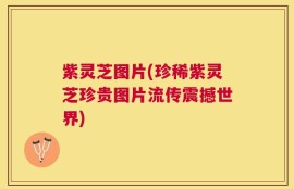 紫灵芝图片(珍稀紫灵芝珍贵图片流传震撼世界)