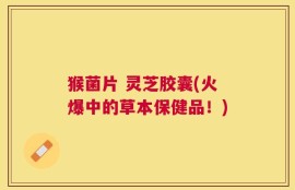 猴菌片 灵芝胶囊(火爆中的草本保健品！)