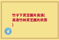 竹子下灵芝图片高清(高清竹林灵芝图片欣赏)