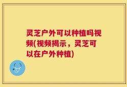 灵芝户外可以种植吗视频(视频揭示，灵芝可以在户外种植)