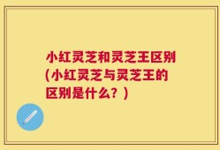 小红灵芝和灵芝王区别(小红灵芝与灵芝王的区别是什么？)