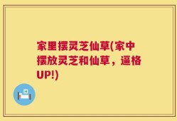 家里摆灵芝仙草(家中摆放灵芝和仙草，逼格UP!)