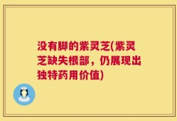 没有脚的紫灵芝(紫灵芝缺失根部，仍展现出独特药用价值)