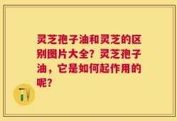 灵芝孢子油和灵芝的区别图片大全？灵芝孢子油，它是如何起作用的呢？