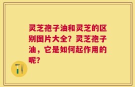 灵芝孢子油和灵芝的区别图片大全？灵芝孢子油，它是如何起作用的呢？
