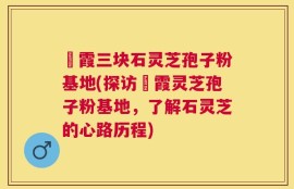 苳霞三块石灵芝孢子粉基地(探访苳霞灵芝孢子粉基地，了解石灵芝的心路历程)