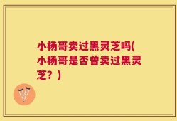 小杨哥卖过黑灵芝吗(小杨哥是否曾卖过黑灵芝？)