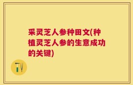 采灵芝人参种田文(种植灵芝人参的生意成功的关键)