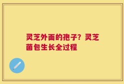 灵芝外面的孢子？灵芝菌包生长全过程