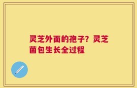 灵芝外面的孢子？灵芝菌包生长全过程